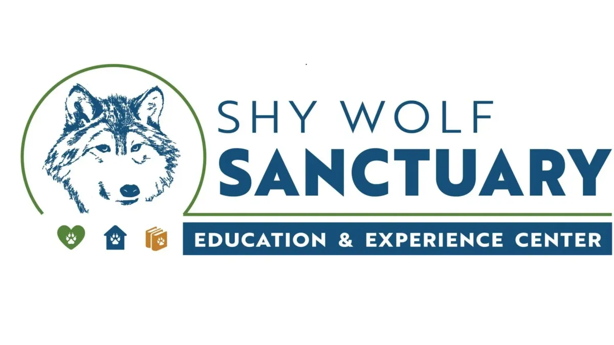 Shy Wolf Sanctuary of Naples