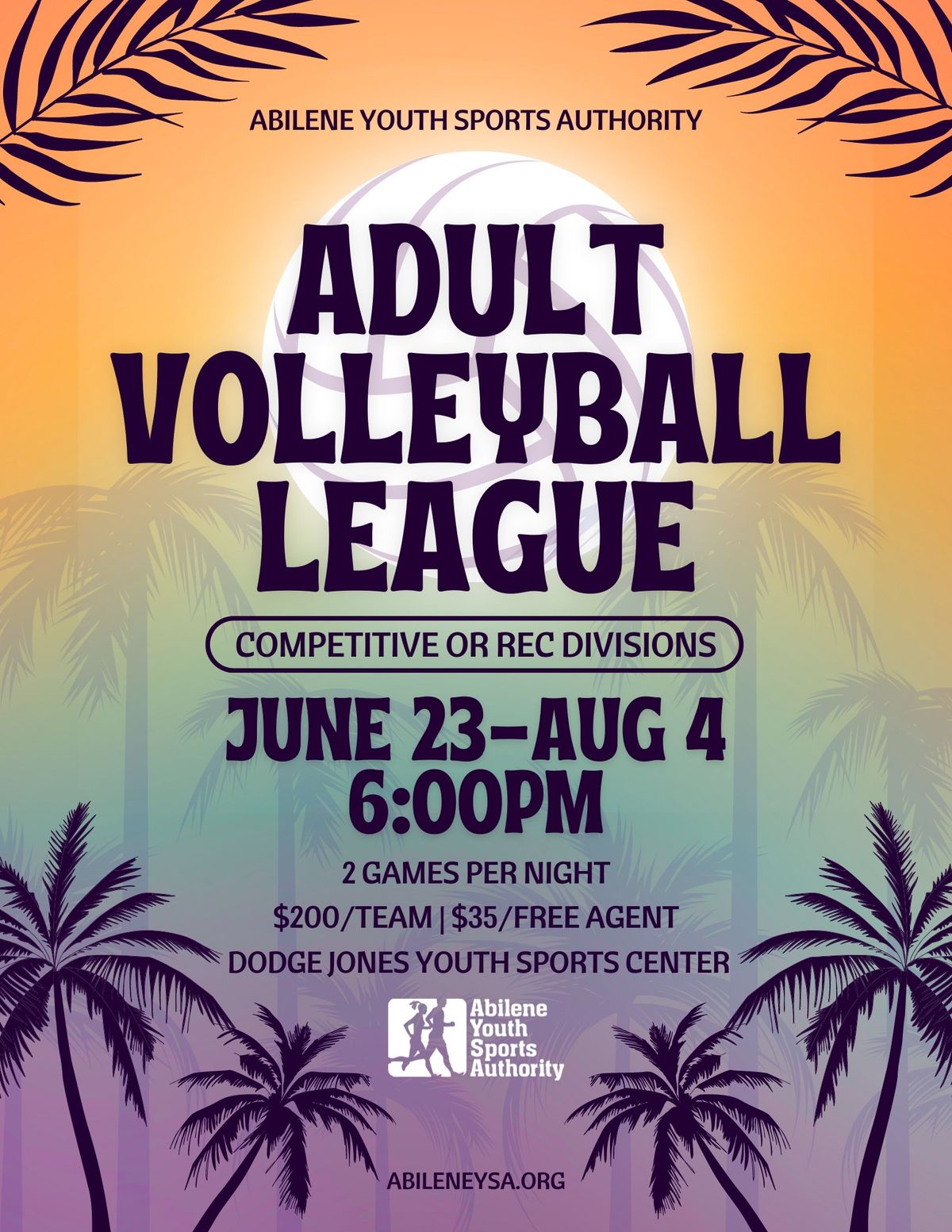 Summer Adult Volleyball League 