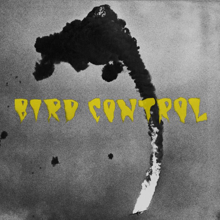 Bird Control (60s-psychedelic-postpunk, Berlin) im Keller