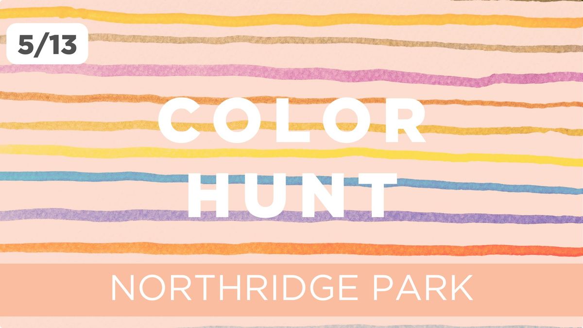 FREE PLAYGROUP | COLOR HUNT