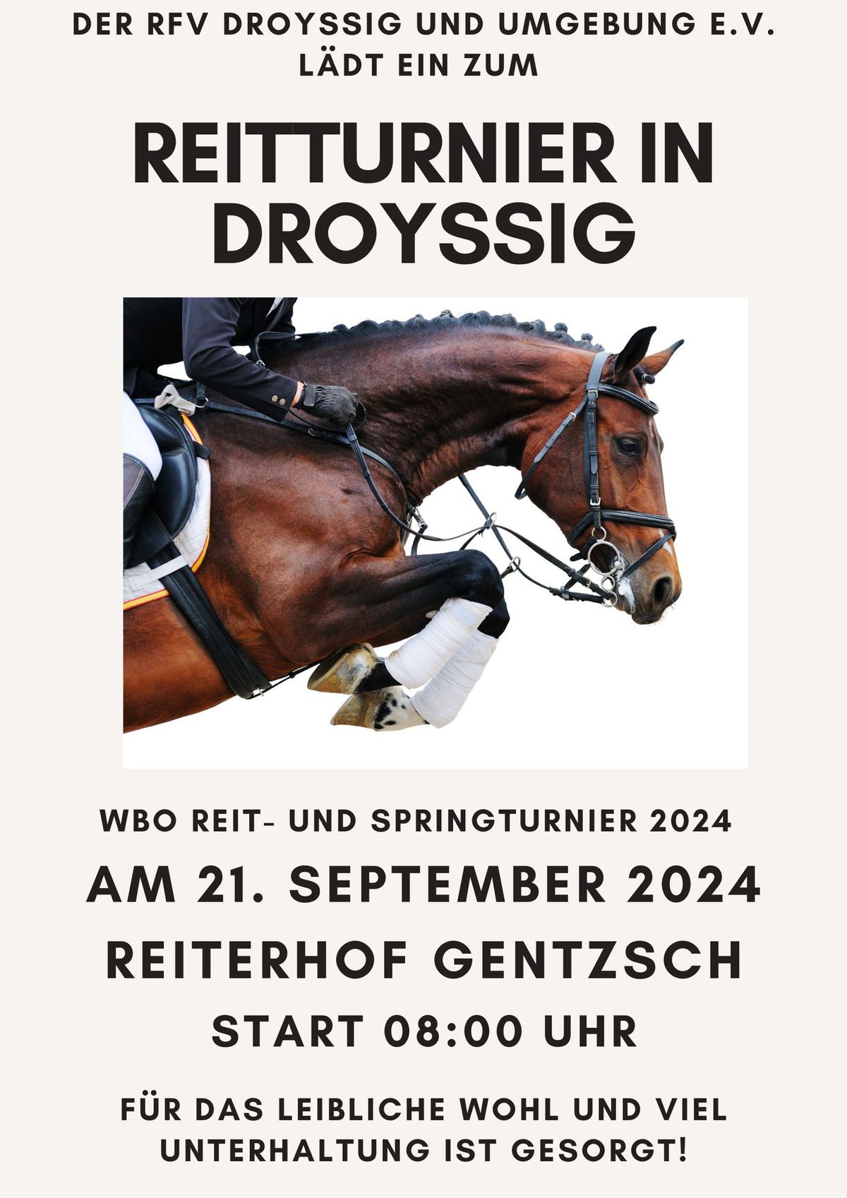 Breitensportliche Veranstaltung (WBO rReittuernier) des RFV Droy\u00dfig