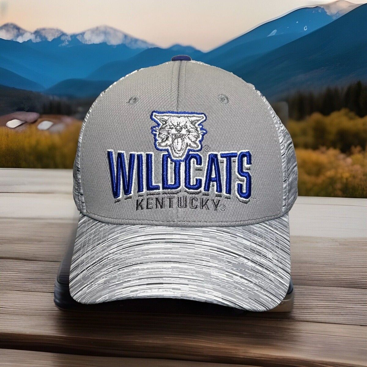 Kentucky Wildcats at South Carolina Gamecocks Baseball at Founders Park