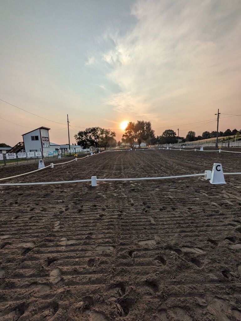 Dressage Clinic