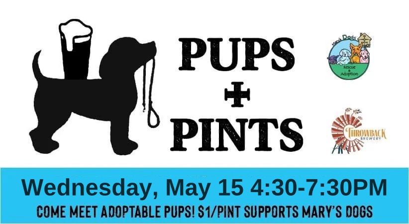 Pups + Pints with Mary's Dogs