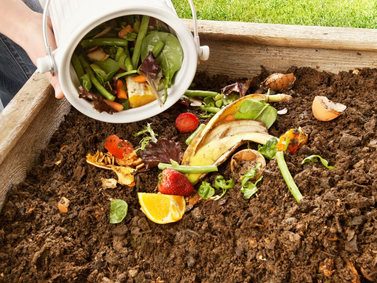 Free Workshop: Composting