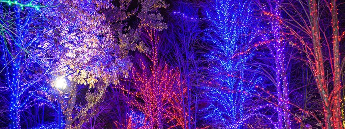 Sensory-Friendly Night at ZooLights Presented by ComEd and Invesco QQQ