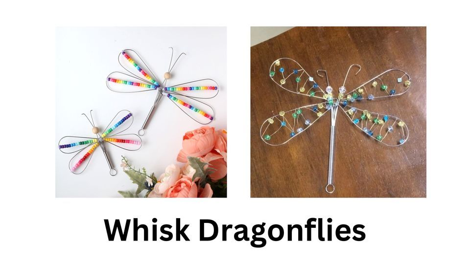 Whisk Dragonflies 