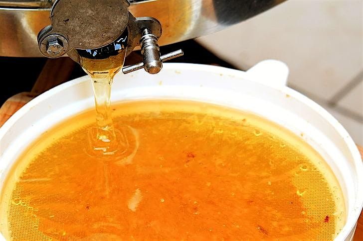 Bees 96: Honey Processing 2026