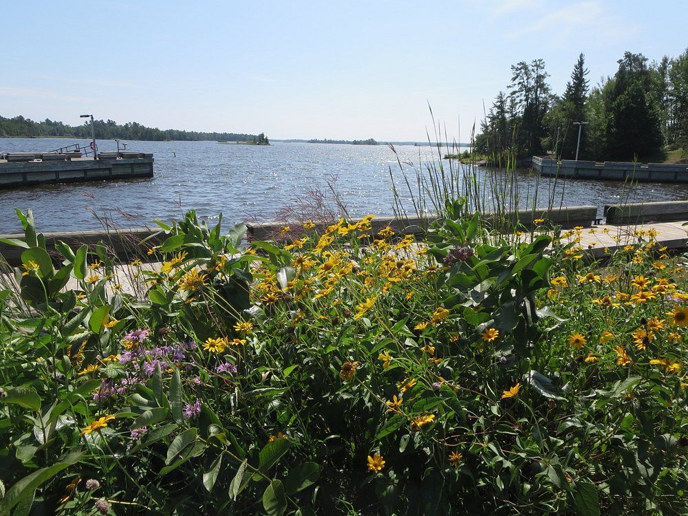 Andrew Sankey - Land of ten thousand lakes - The gardens of Minnestota USA