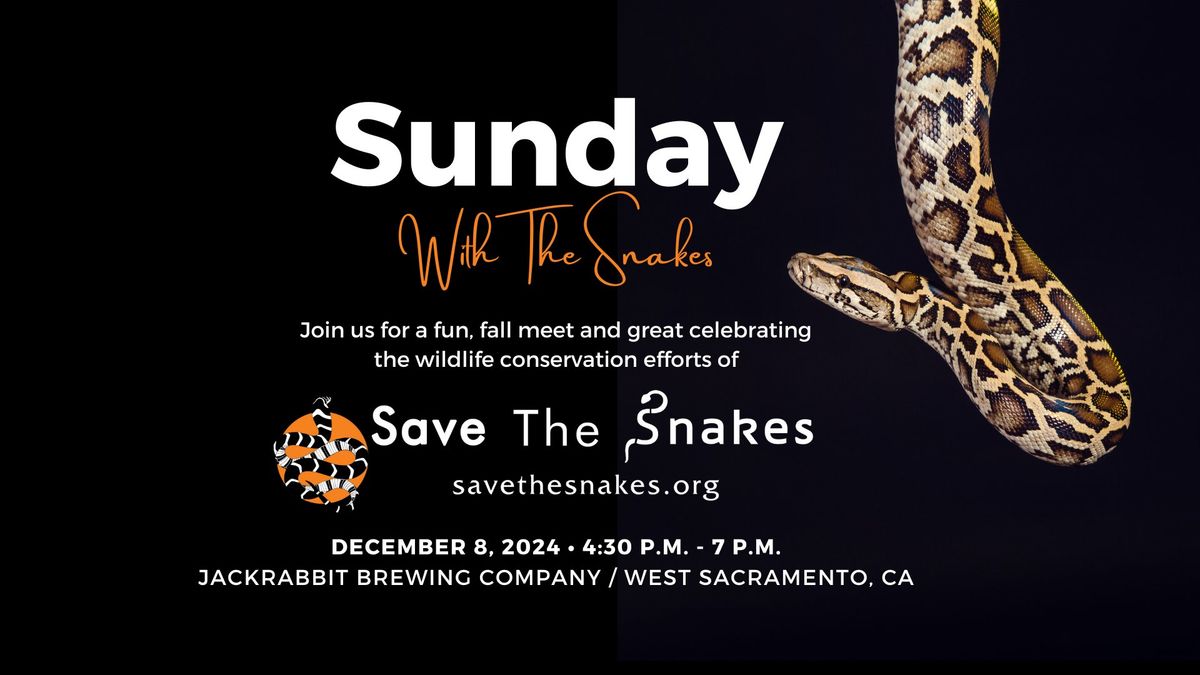 Sunday with the Snakes \ud83d\udc0d\ud83c\udf7b\ud83d\udc0d