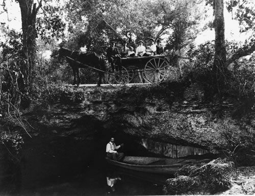 Arch Creek Park Ghost Stroll