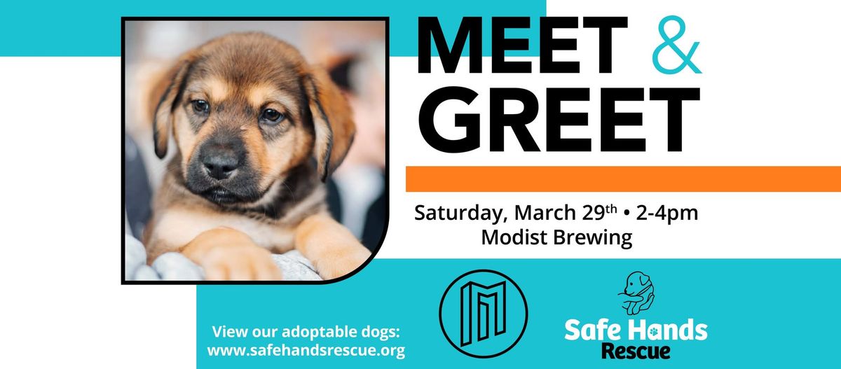 Safe Hands Rescue Meet & Greet at Modist Brewing