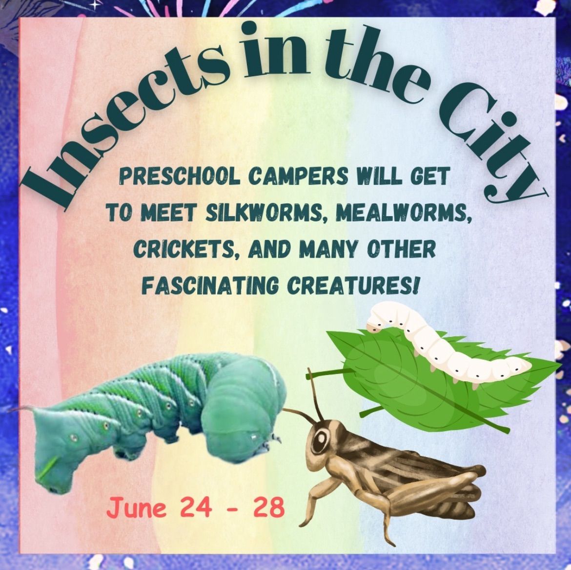 Summer Camps: Insects in the City