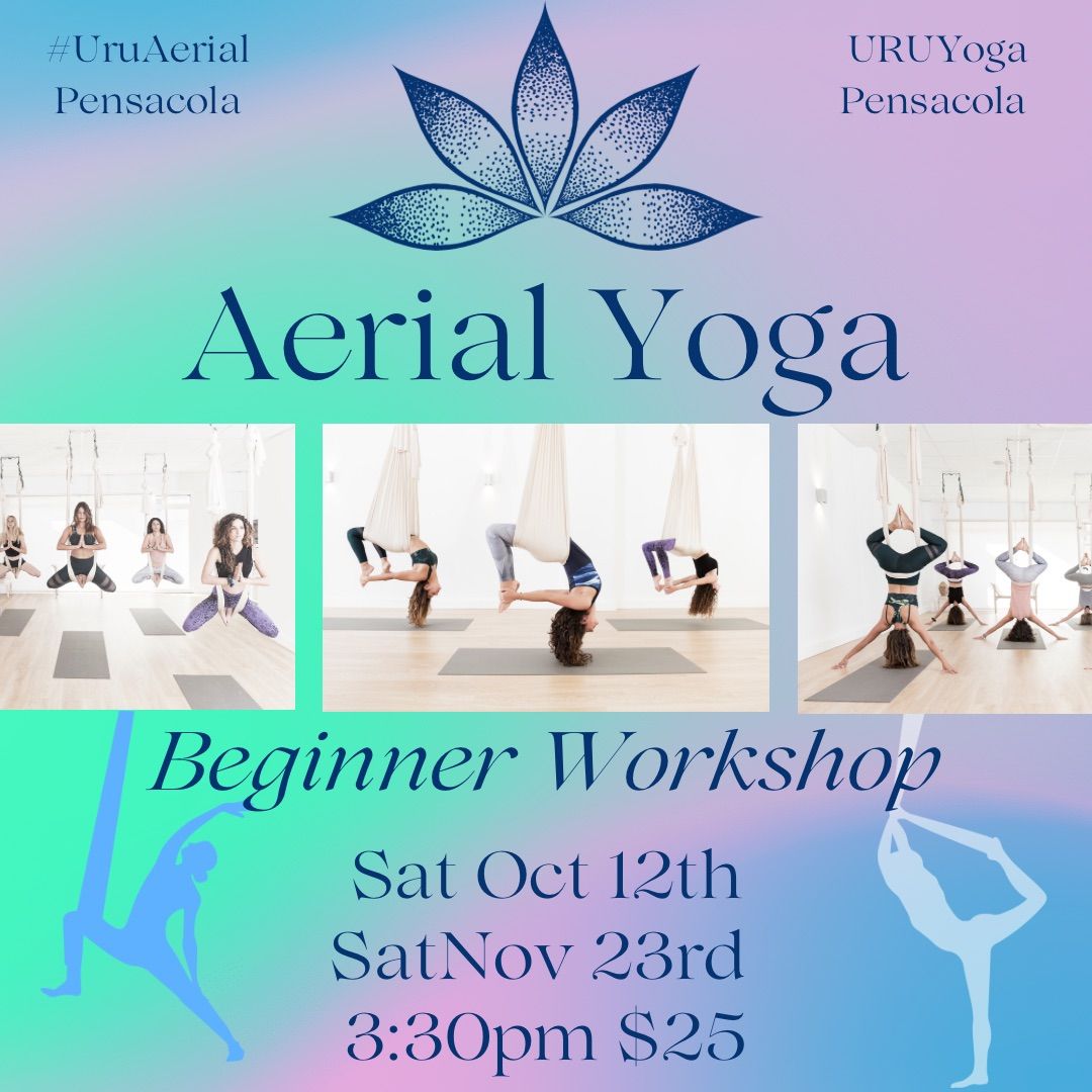 Aerial Yoga Beginner Workshop 