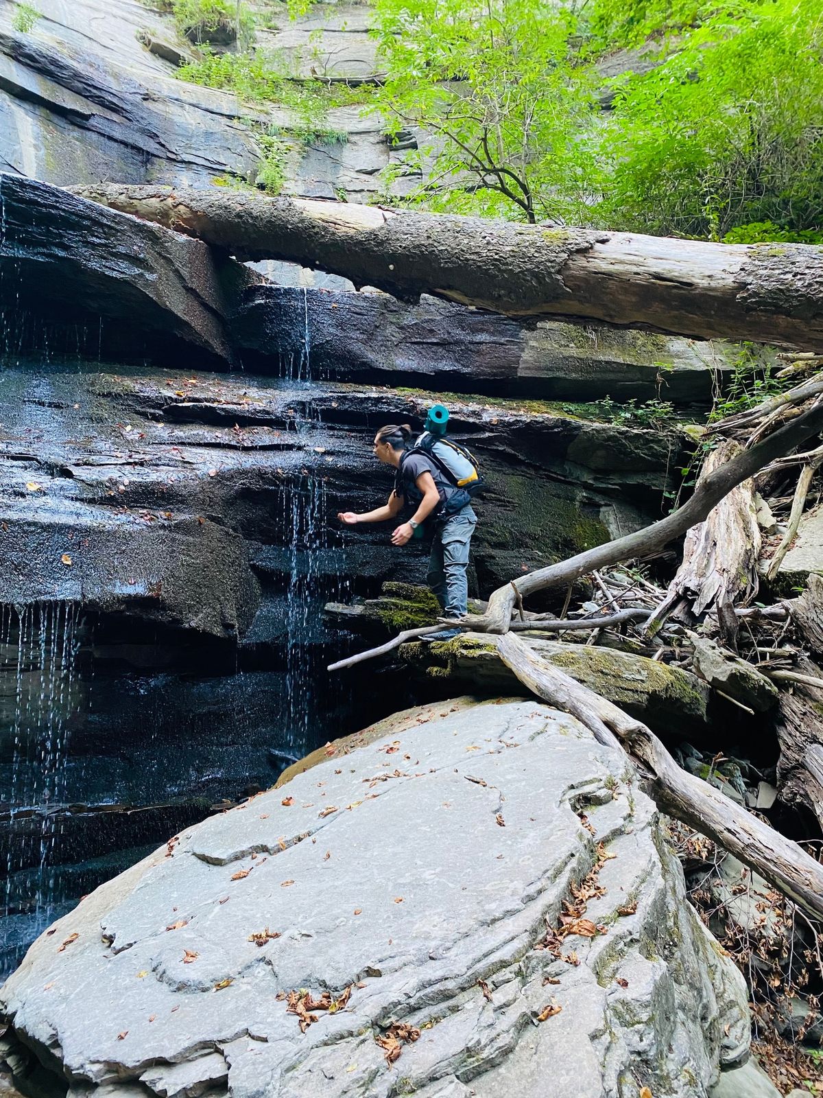 Trekking agli Scalandrini e Foresta della Lama