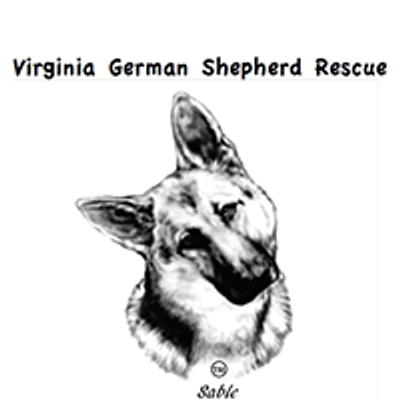 Virginia German Shepherd Rescue