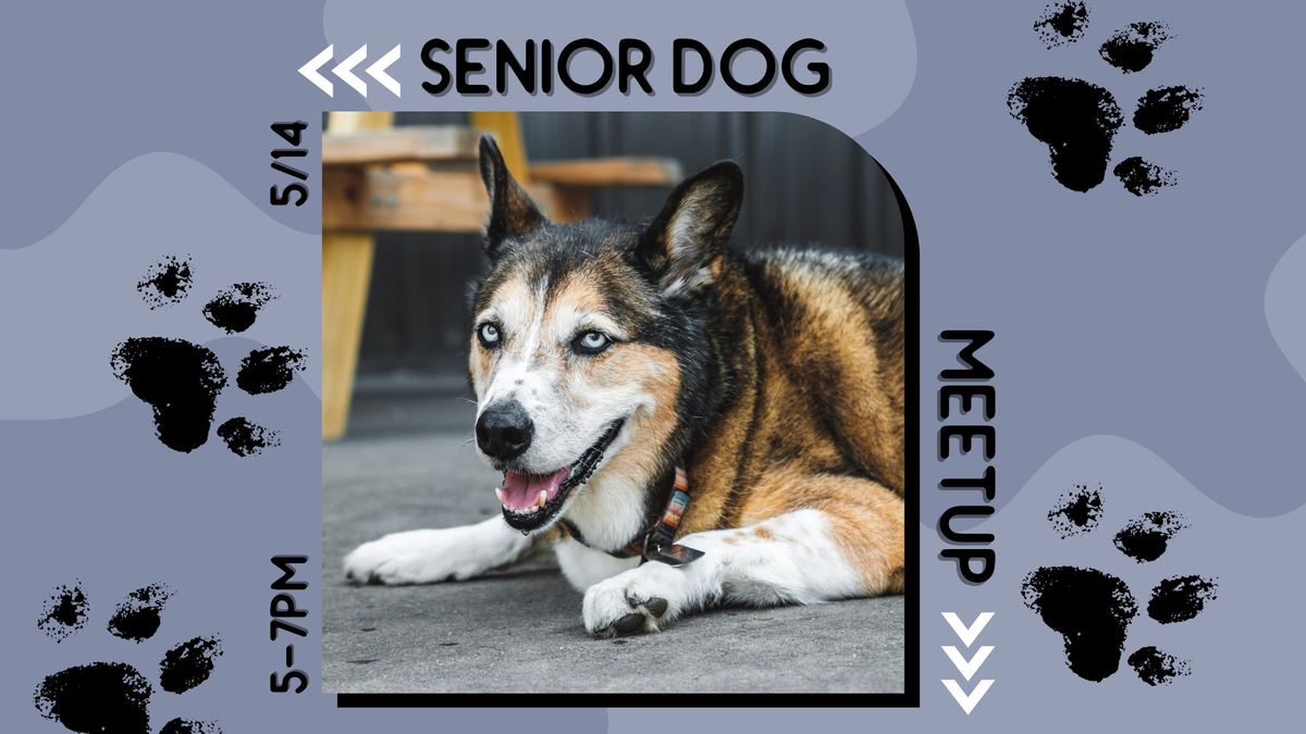 Senior Dog Meetup @ Ruff Draft