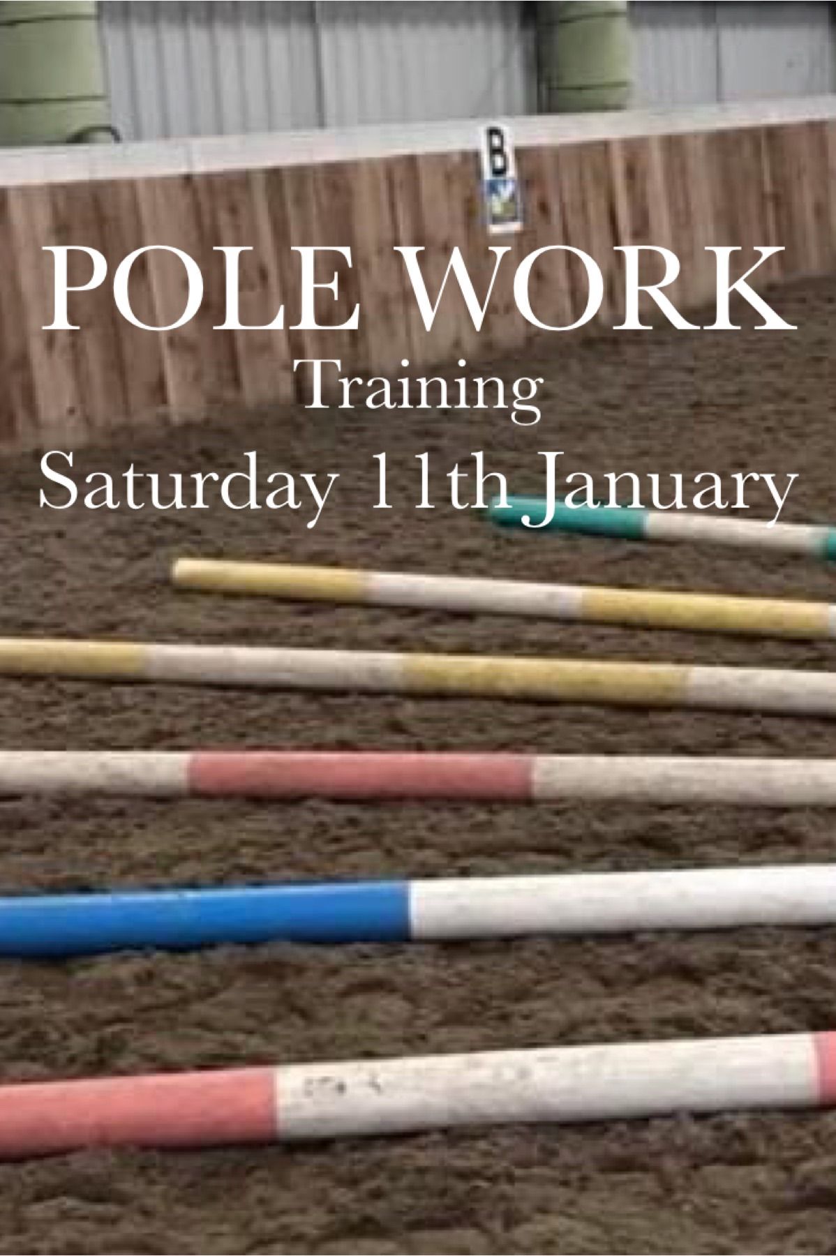 Pole Work for Suppleness & Elasticity 