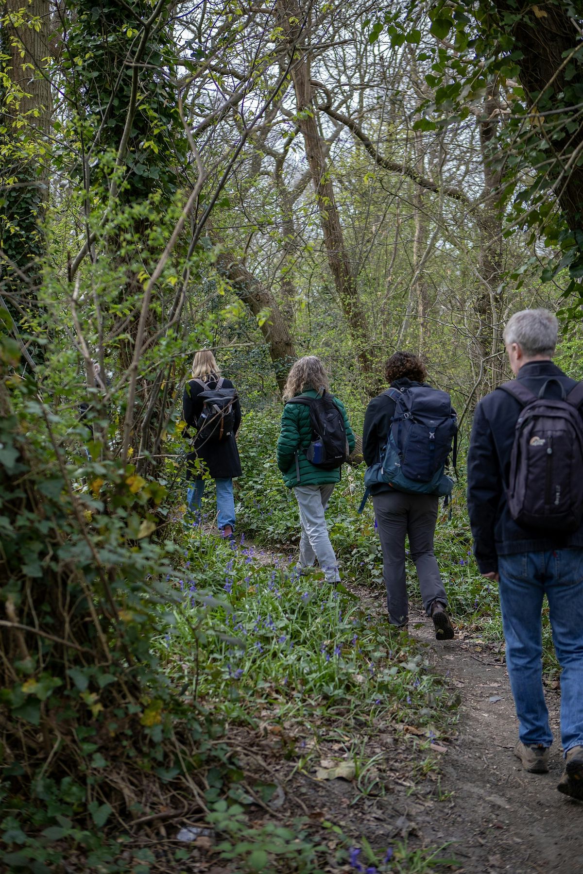 Wogebourne River Walk