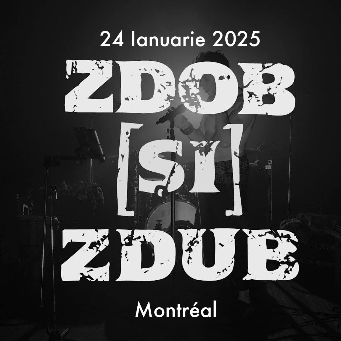 Zdob \u0219i Zdub - Montreal