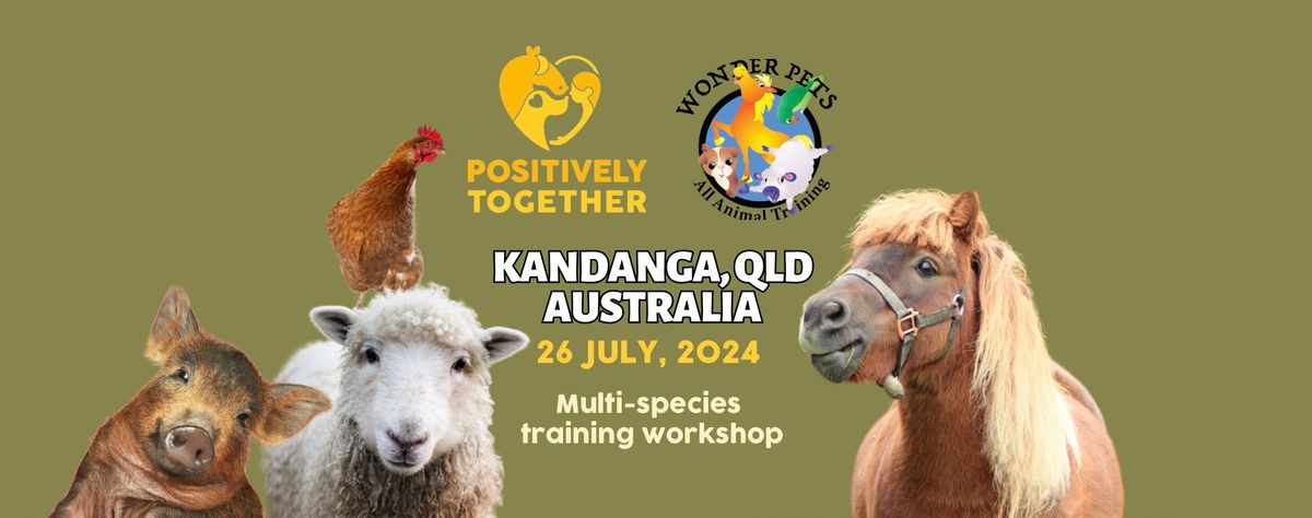 Multi-species animal training workshop