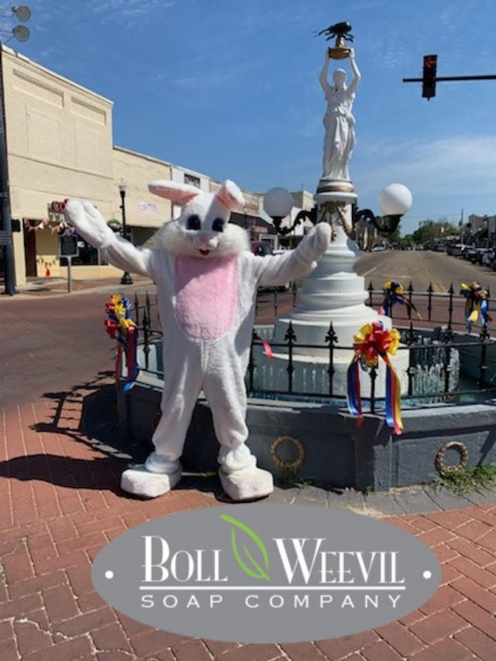 Easter Bunny at Boll Weevil Soap