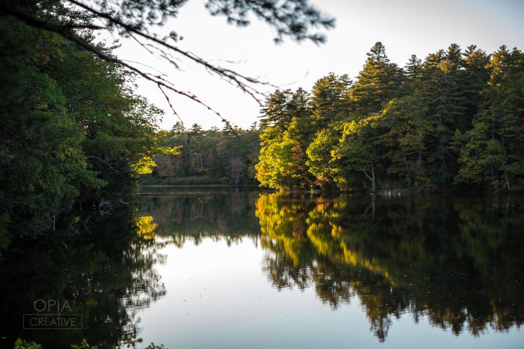 Happy Wanderers Hike: McLellan Poor Preserve