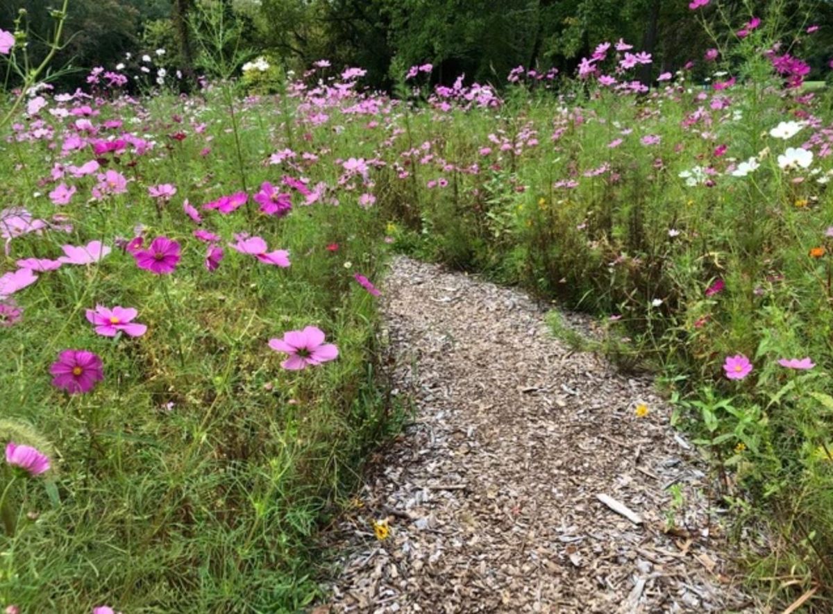 Field Trip: Foote's Pond \u2014 The Garden Club of Mount Tabor