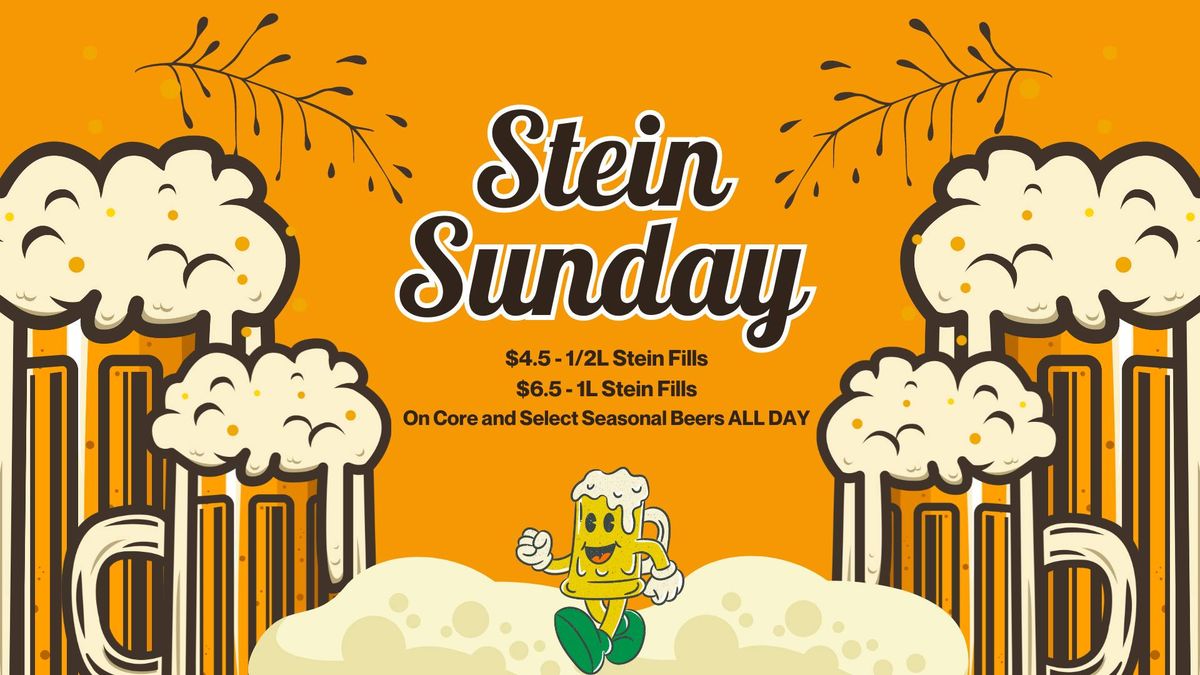 Stein Sunday At Nebraska Brewing