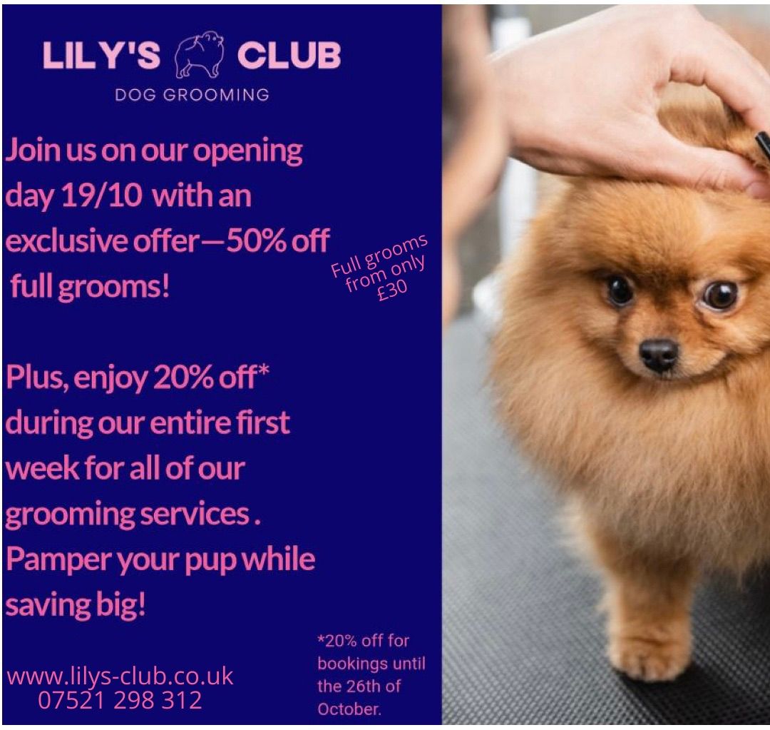 Lily\u2019s Club opening