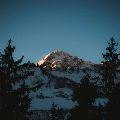 Abdul Aziz Said Chair