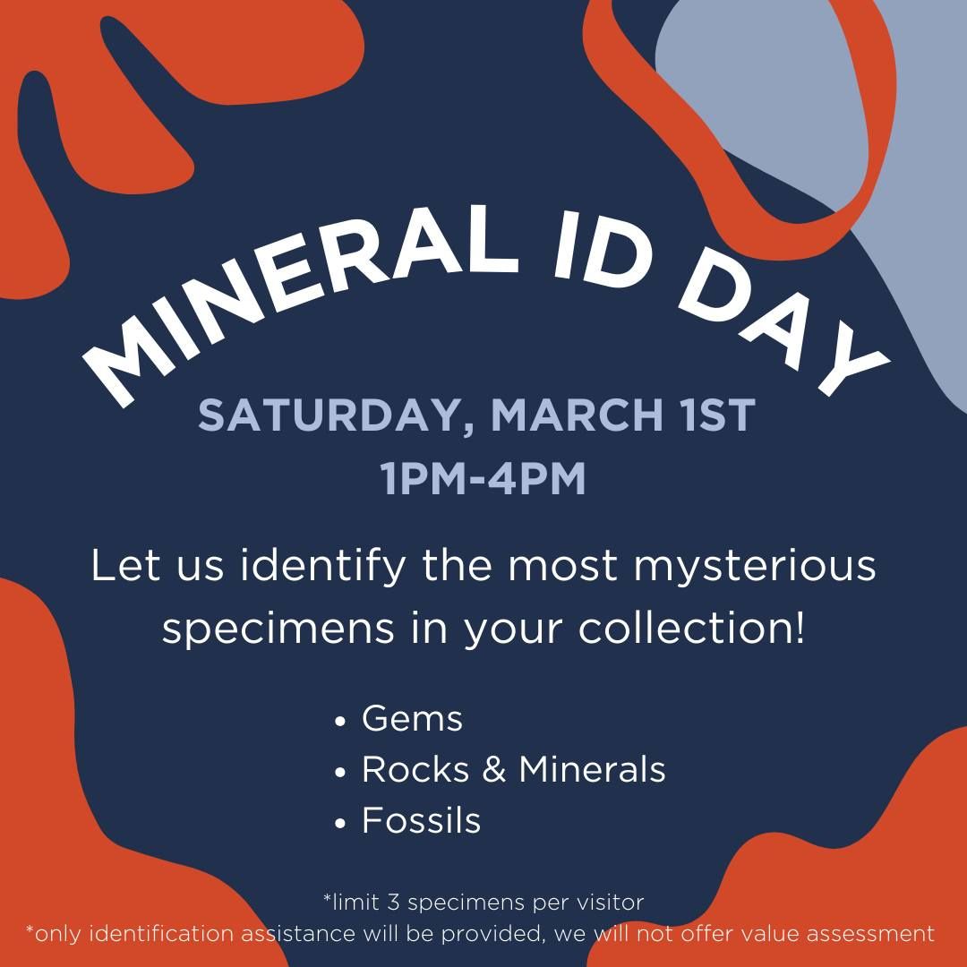 Mineral ID Day