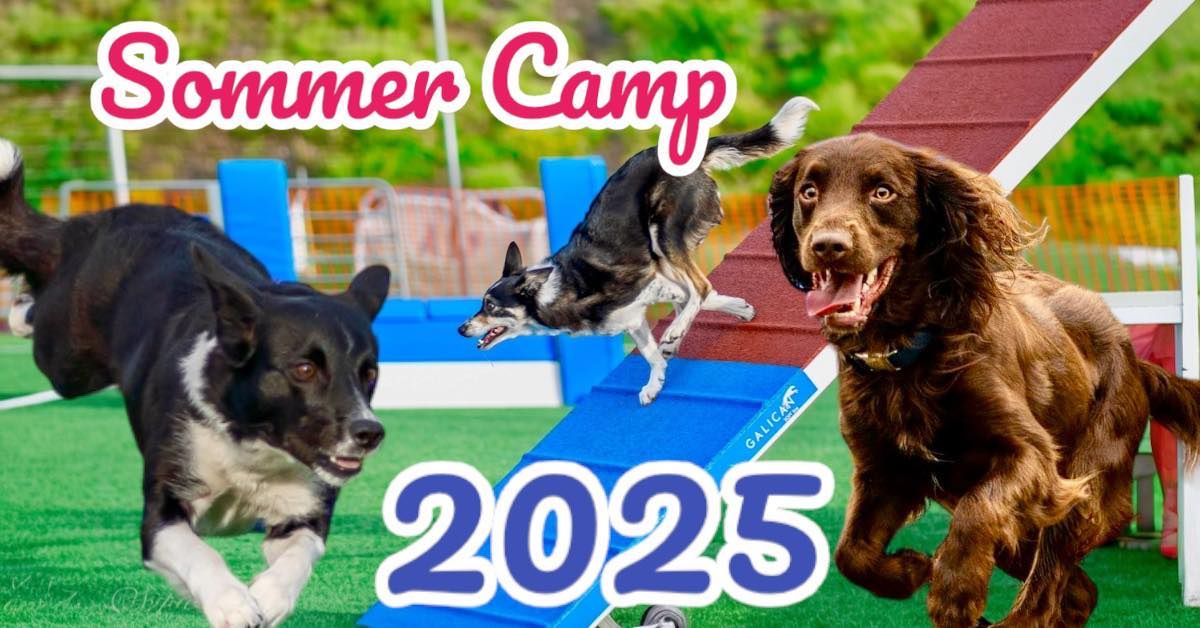 Sommer Camp 2025