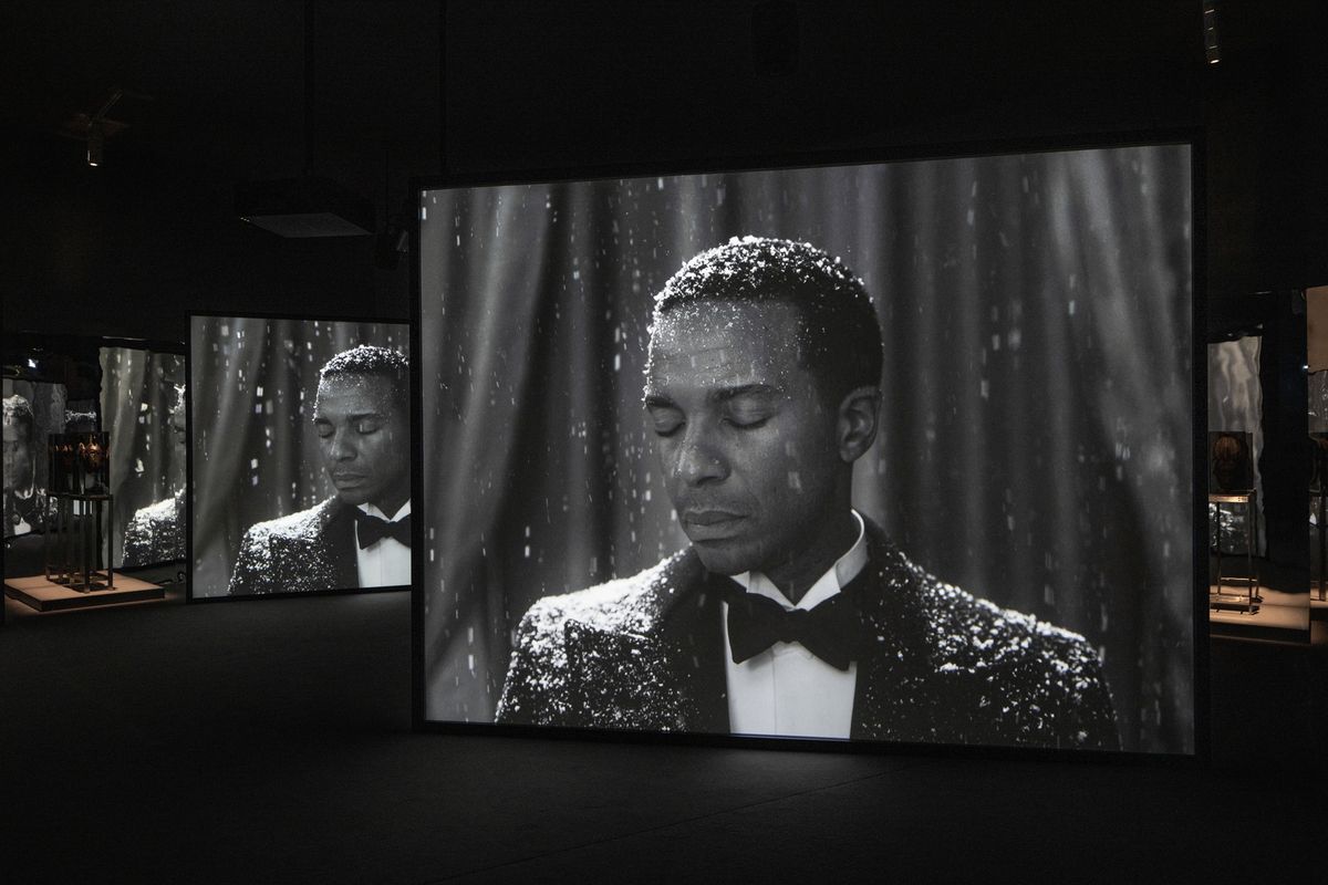 Curator Talk and Film Screenings: Isaac Julien