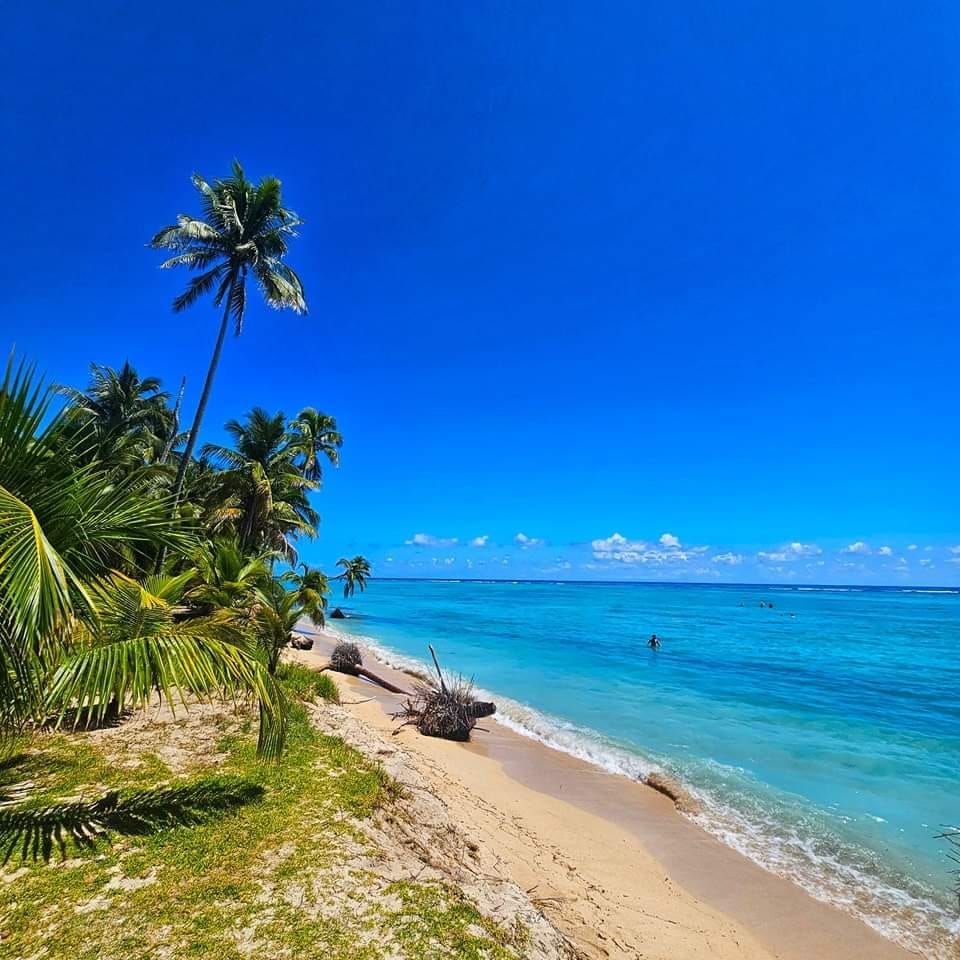 Viaje a Isla Lobos Veracruz 