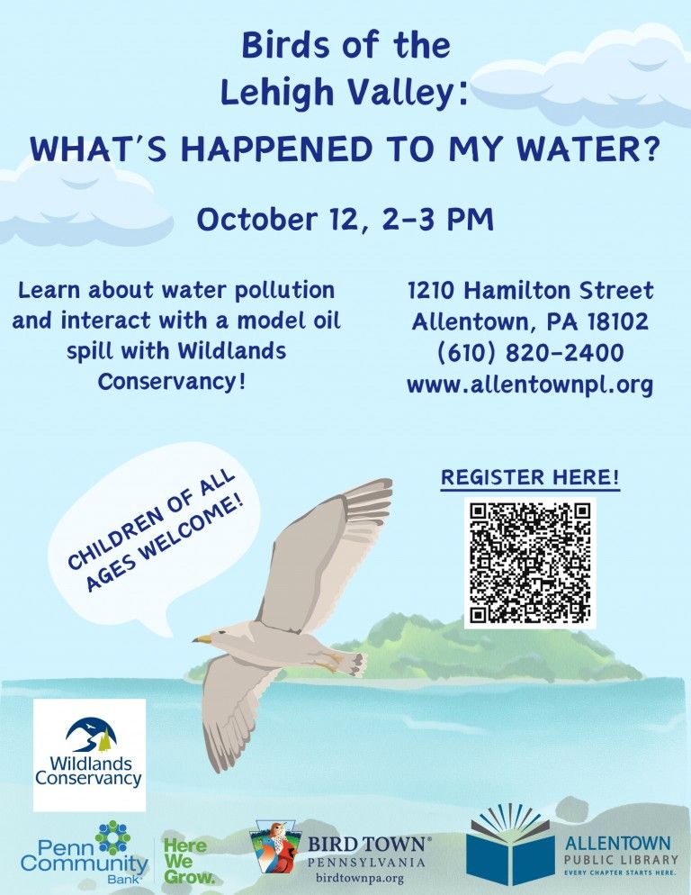 Birds of the Lehigh Valley: What\u2019s Happened to My Water?