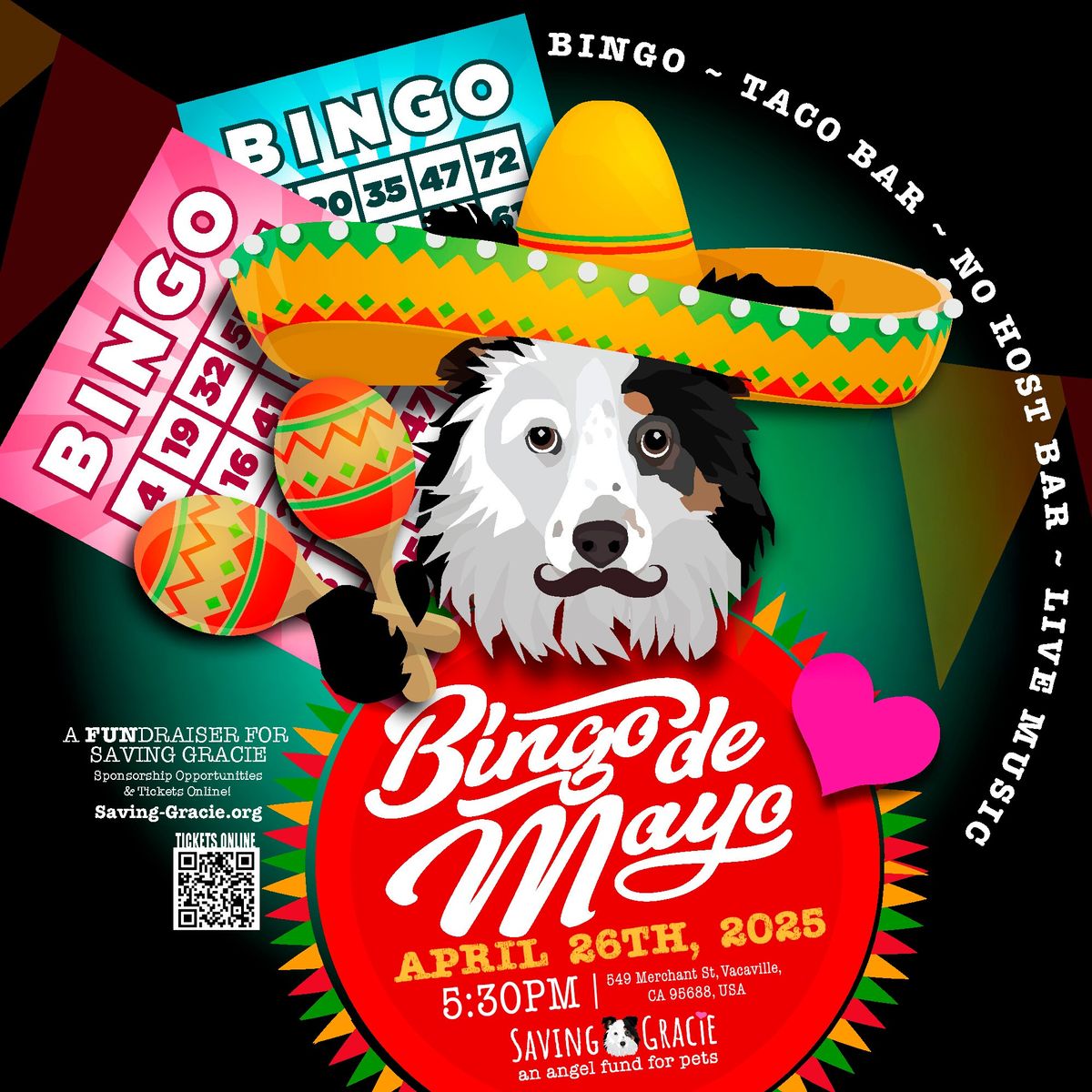 4th Annual Bingo de Mayo Fundraiser for Saving Gracie!