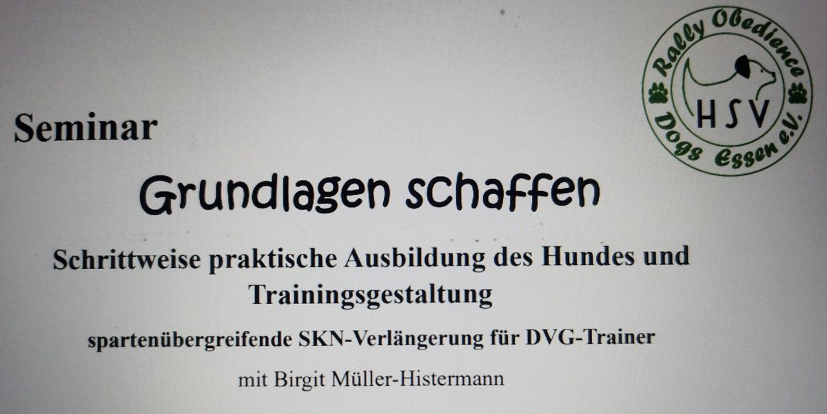 Grundlagen schaffen - Schrittweise praktische Ausbildung des Hundes und Trainingsgestaltung