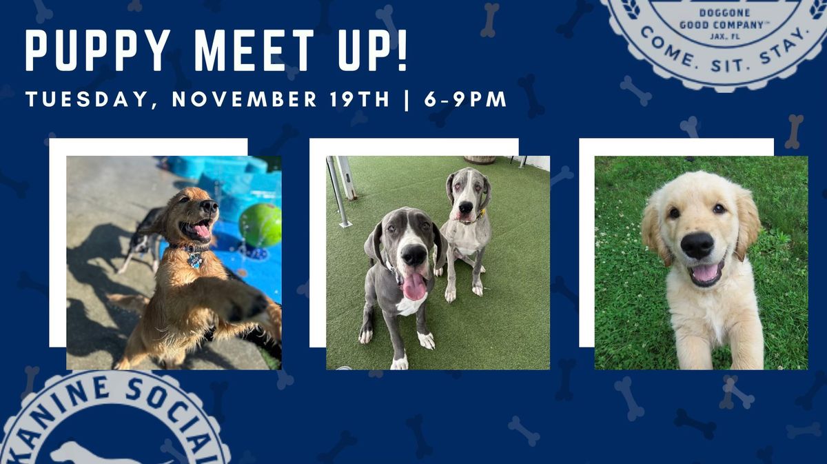 Puppy Meet up!