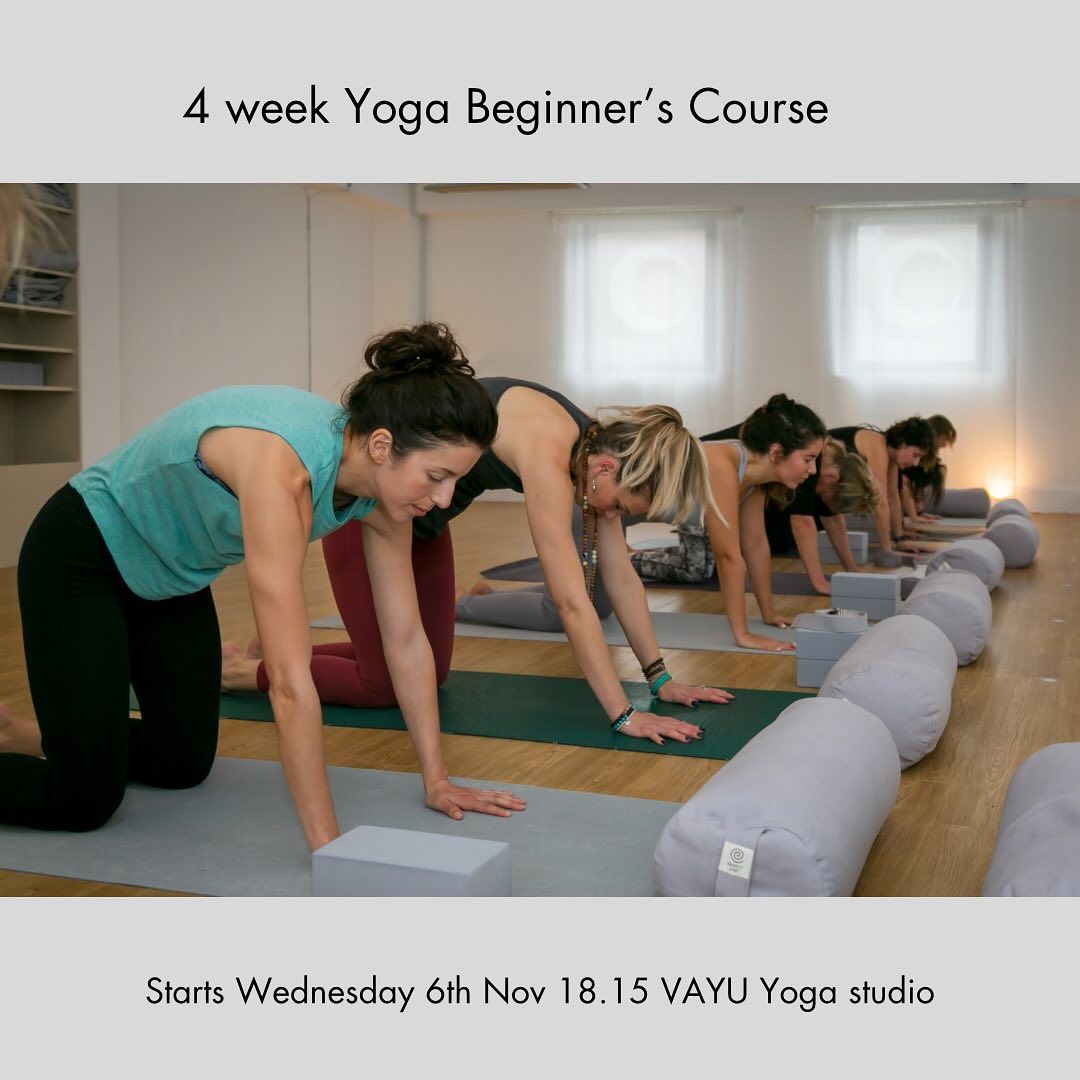 Yoga Beginners Course