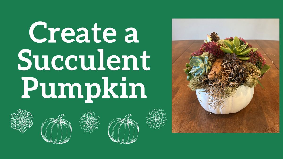 Create a Succulent Pumpkin