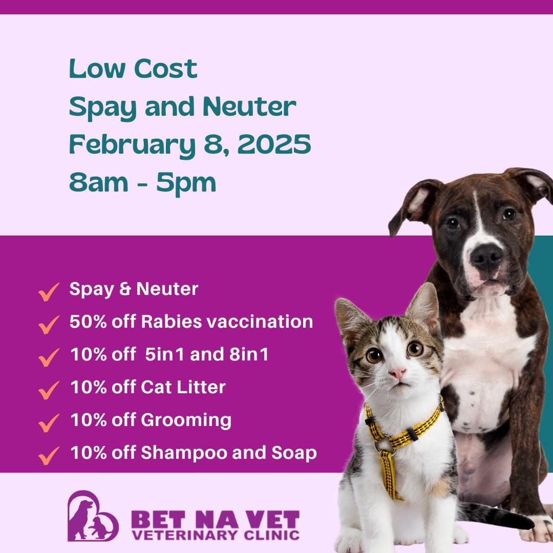 Bet na Vet Veterinary Clinic - Low-Cost Spay and Neuter Event!