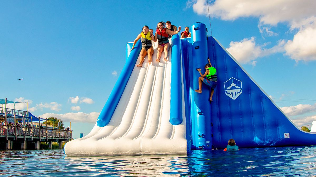 Parking Bear vs. Shark