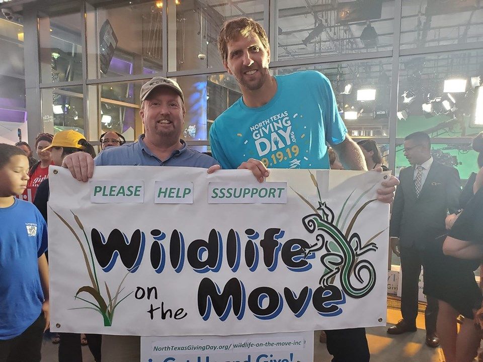 Wildlife On The Move - North Texas Giving Day Pop-Up