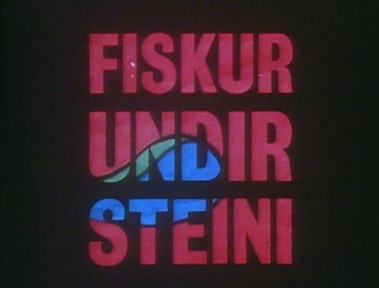 B\u00ed\u00f3teki\u00f0: Fiskur undir steini + umr\u00e6\u00f0u\u00fe\u00e1ttur RUV