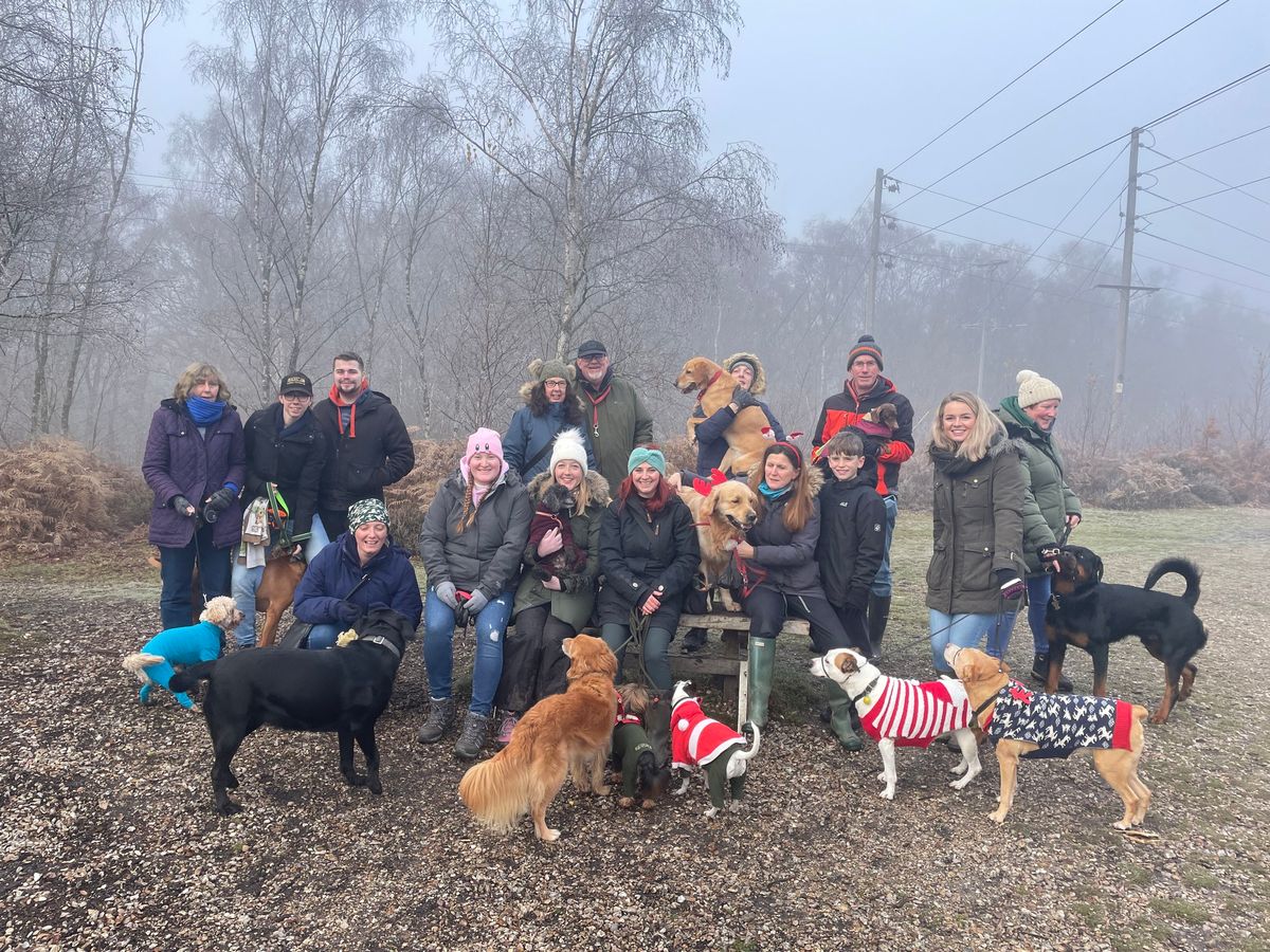 Jurassic Bark Pack Walk Newbury