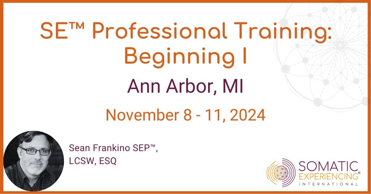 Ann Arbor, MI - Beginning I - November 8-11, 2024