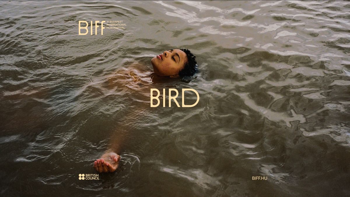 Bird \/\/ BIFF 2024