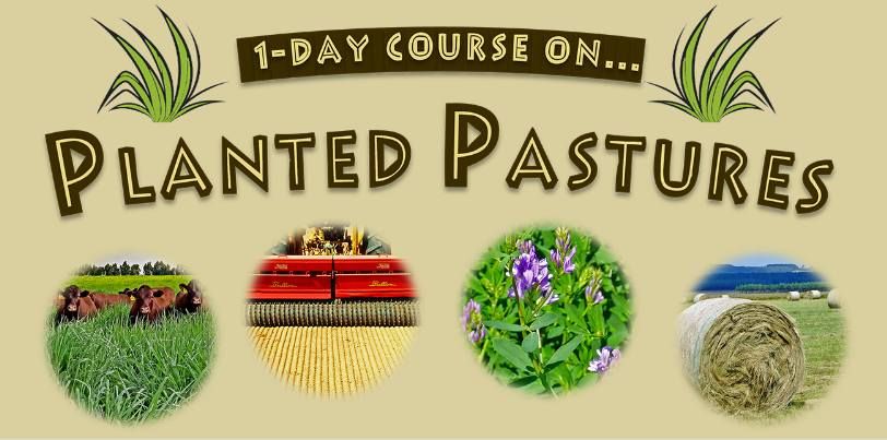 1-day Training Course: Planted Pastures and Forage Crops