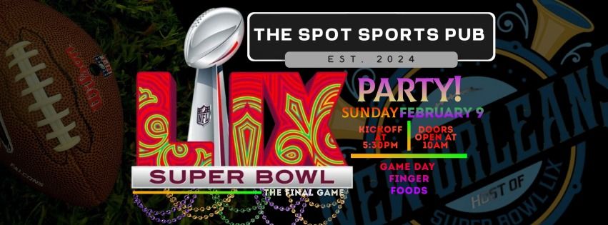 SUPER BOWL LIX PARTY! 